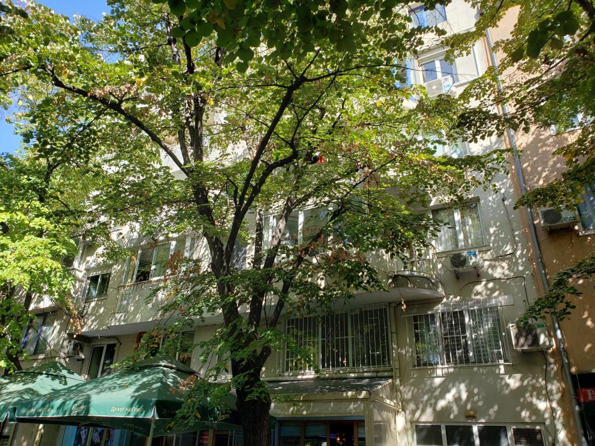 Spacious 2Bdr - Free Parking - Walk Everywhere - 300 Mbps Wifi Várna Kültér fotó